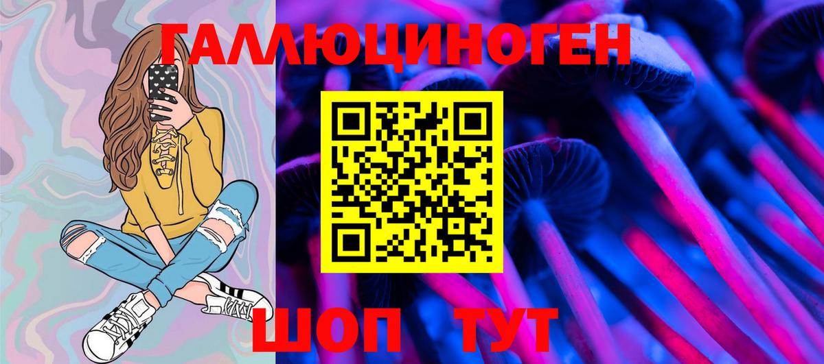 Псилоцибиновые грибы Cubensis Ростов Великий