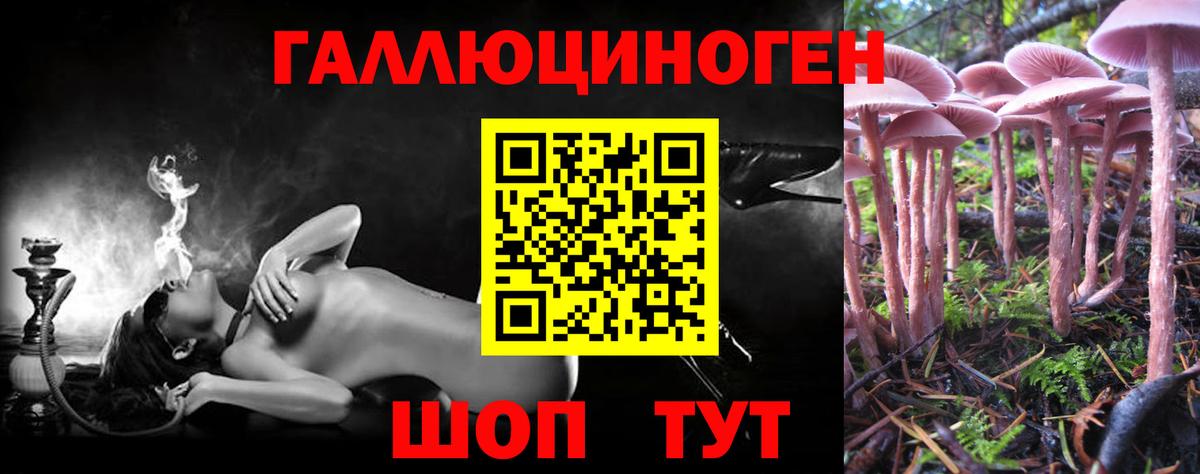 Галлюциногенные грибы прущие грибы  Вход с VPN  Ростов Великий 